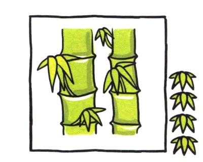 绿色的竹子简笔画图片 竹子怎么画