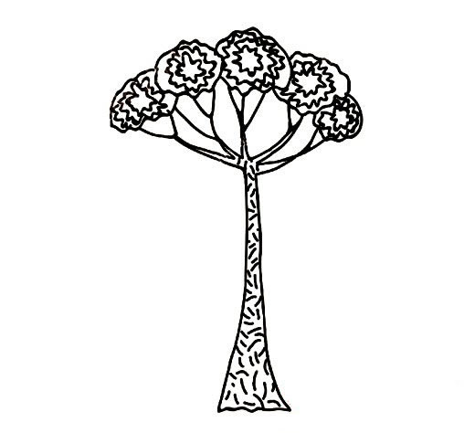 侏罗纪时代树木的简笔画图片怎么画