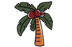 简单的椰子树简笔画图片怎么画
