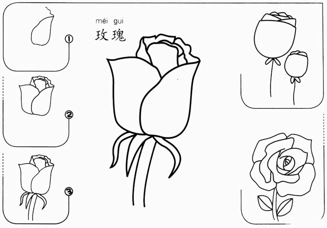 简单的玫瑰花简笔画图片 玫瑰花怎么画