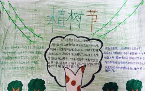 中国的植树节手抄报图片