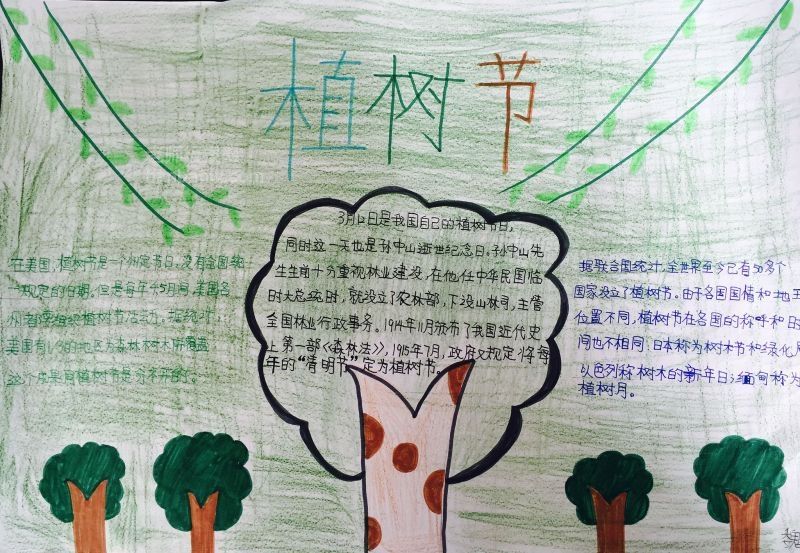 中国的植树节手抄报图片