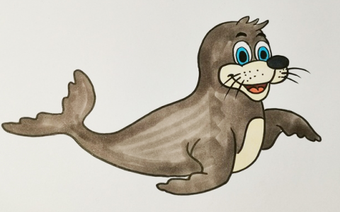 可爱海豹简笔画图片 海豹怎么画