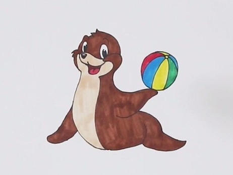 海狮简笔画彩色图片 海狮怎么画