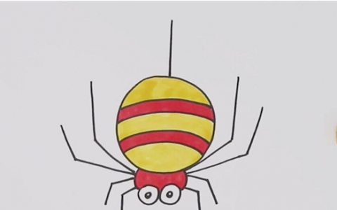 蜘蛛简笔画图片 蜘蛛怎么画
