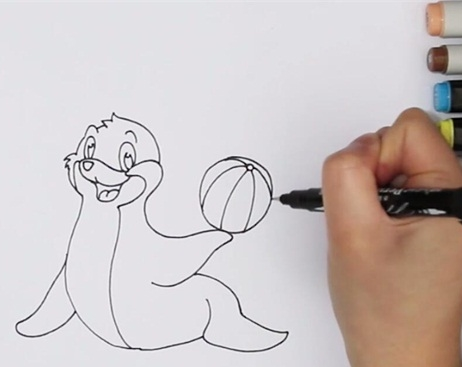 海狮简笔画彩色图片 海狮怎么画