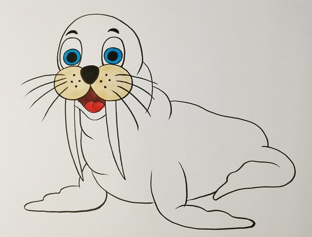 简单海狮简笔画图片怎么画