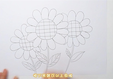 简单的向日葵简笔画图片怎么画