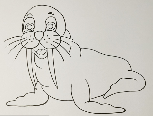 简单海狮简笔画图片怎么画
