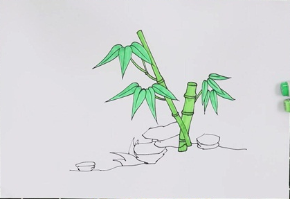 竹子简笔画图片 竹子怎么画