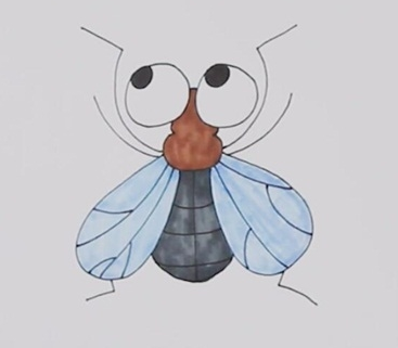 苍蝇简笔画图片 苍蝇怎么画