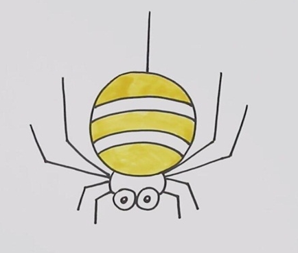 蜘蛛简笔画图片 蜘蛛怎么画
