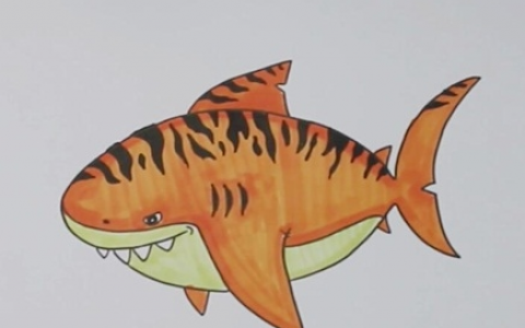 虎鲨简笔画图片 虎鲨怎么画