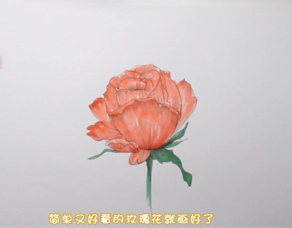简单又好看的玫瑰花简笔画图片怎么画