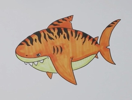 虎鲨简笔画图片 虎鲨怎么画