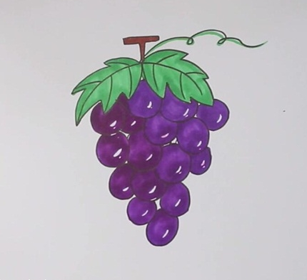 葡萄简笔画图片 葡萄怎么画