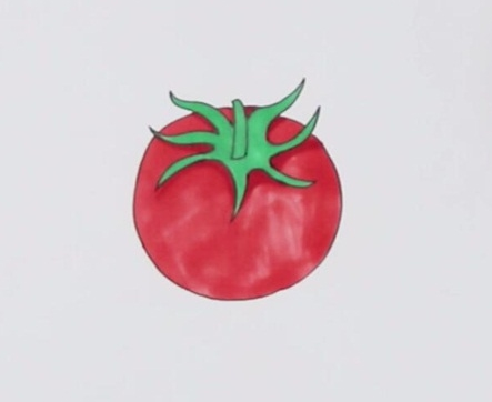 西红柿简笔画图片 西红柿怎么画