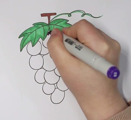 葡萄简笔画图片 葡萄怎么画