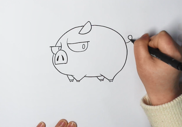 猪的简笔画图片 猪怎么画