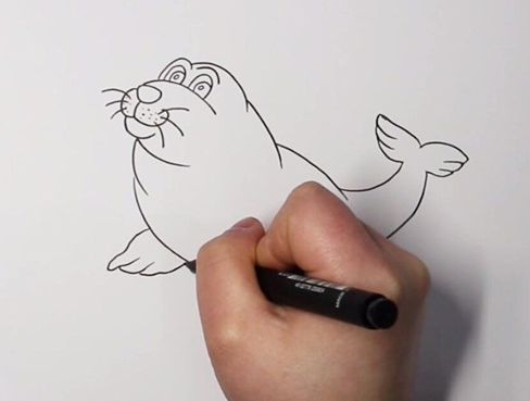 海豹简笔画图片 海豹怎么画