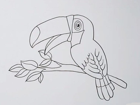 巨嘴鸟简笔画图片 鸟怎么画