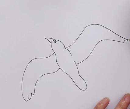 海鸥简笔画图片怎么画