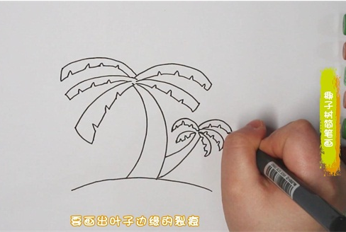 椰子树简笔画图片 椰子树怎么画