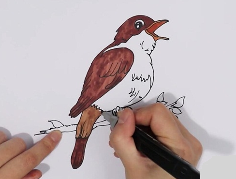夜莺简笔画图片 小鸟怎么画