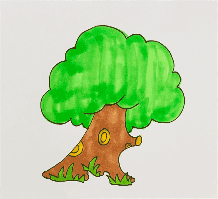 绿色的大树简笔画图片 大树怎么画