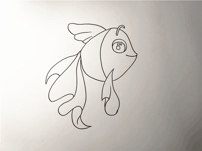 小金鱼简笔画图片 金鱼怎么画