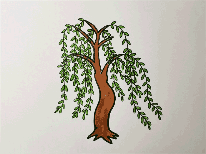 茂密的柳树简笔画图片怎么画