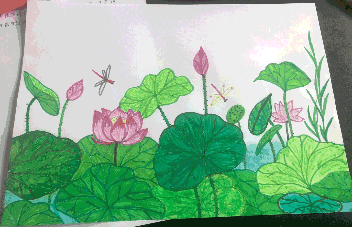 儿童水彩画：荷花与蜻蜓