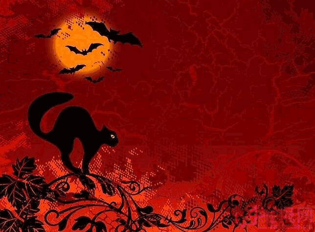 11月1日万圣节素材背景花边图片：月夜下的黑猫