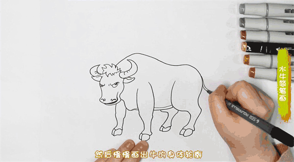 水牛简笔画图片 牛怎么画