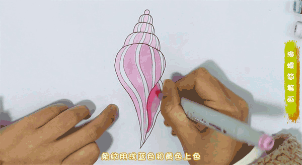 海螺简笔画图片 海螺怎么画的