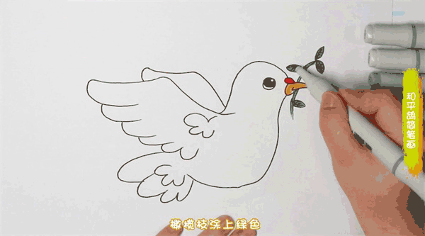 和平鸽简笔画图片 鸽子怎么画的