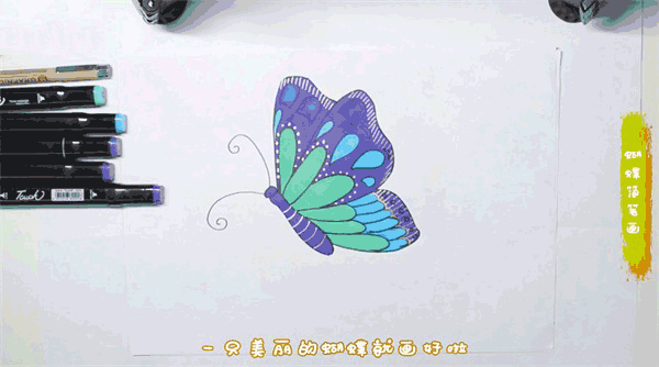 蝴蝶简笔画图片 蝴蝶是怎么画的