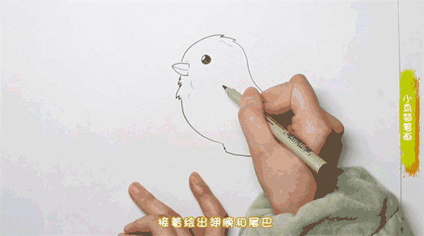小鸟简笔画图片 鸟怎么画的