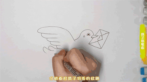 鸽子简笔画图片是怎么画的