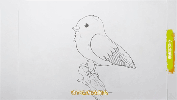 小鸟简笔画图片 鸟怎么画的