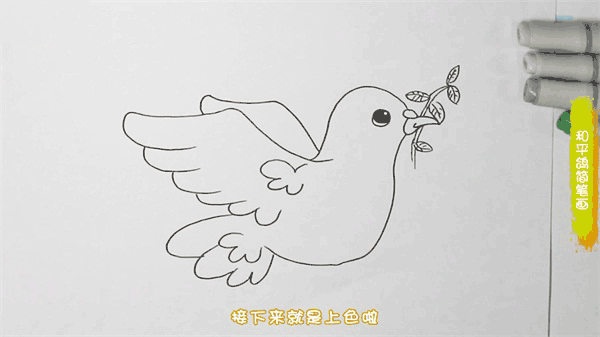 和平鸽简笔画图片 鸽子怎么画的