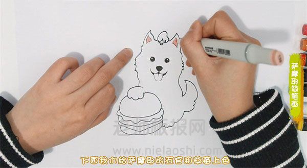 萨摩耶简笔画图片 狗怎么画