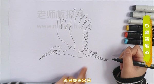 白鹤简笔画图片 白鹤是怎么画的