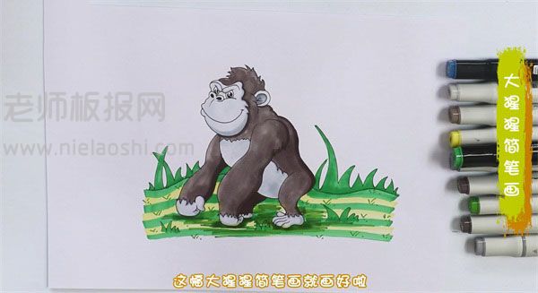 大猩猩简笔画图片 大猩猩是怎么画的