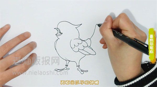 喜鹊简笔画图片 鸟是怎么画的
