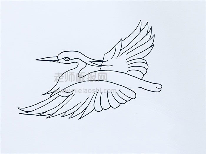 飞翔的白鹭简笔画图片 白鹭怎么画的