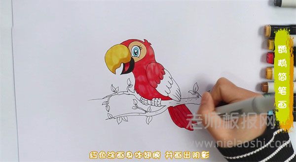 鹦鹉简笔画图片 鹦鹉怎么画