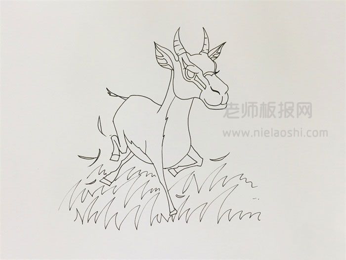 奔跑的羚羊简笔画图片 羊怎么画的