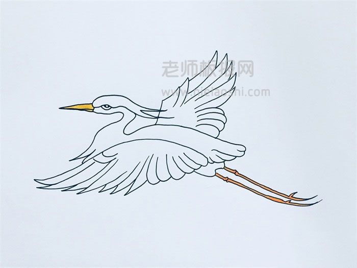 飞翔的白鹭简笔画图片 白鹭怎么画的