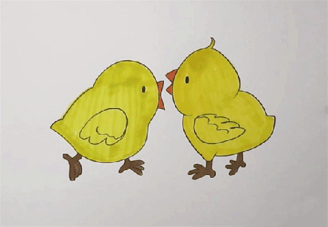 小鸡简笔画图片 鸡如何画